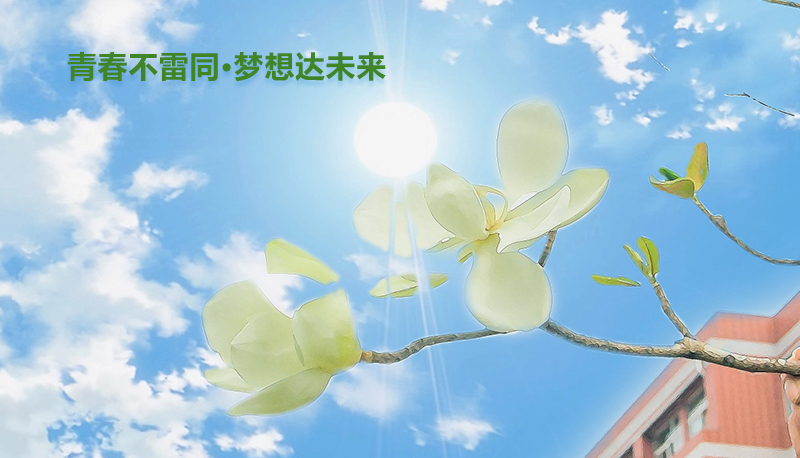 职业机会 职业机会